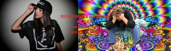 гашик Заволжье
